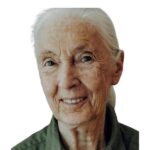 Jane Goodall